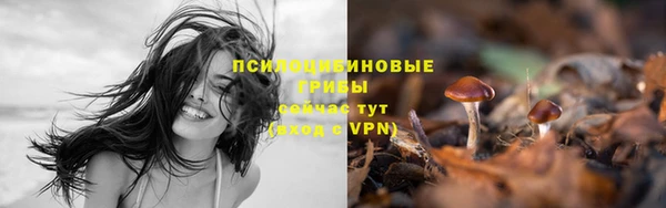 MESCALINE Горно-Алтайск