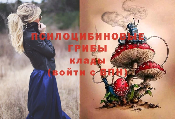 крисы Горнозаводск