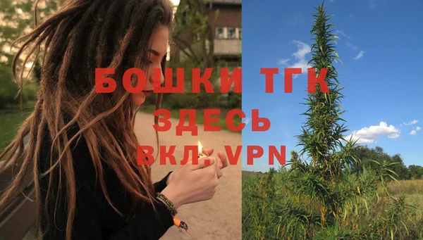 крисы Горнозаводск