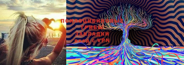 spice Горняк