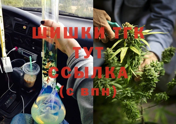 крисы Горнозаводск