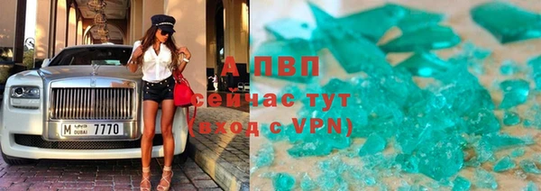 spice Горняк