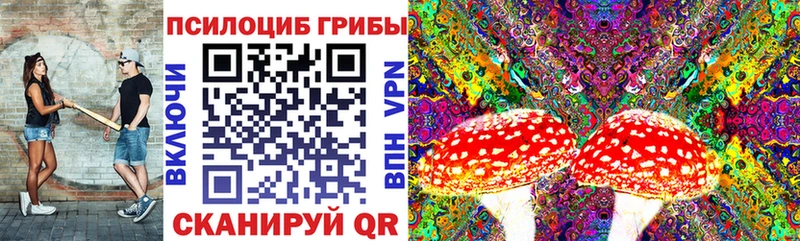 Псилоцибиновые грибы Magic Shrooms Чишмы