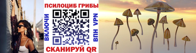 Псилоцибиновые грибы GOLDEN TEACHER  Чишмы 